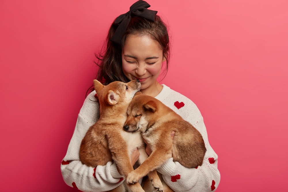 profissão para quem gosta de animais