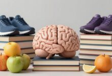 Cérebro humano rodeado de livros, frutas e equipamentos esportivos, simbolizando hábitos saudáveis que melhoram a memória