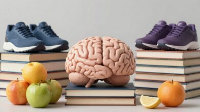 Cérebro humano rodeado de livros, frutas e equipamentos esportivos, simbolizando hábitos saudáveis que melhoram a memória