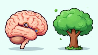 Uma ilustração de um cérebro humano, com uma metade mostrando engrenagens fixas e a outra metade mostrando uma árvore vibrante e crescente, simbolizando a diferença entre a mentalidade fixa e a de crescimento.
