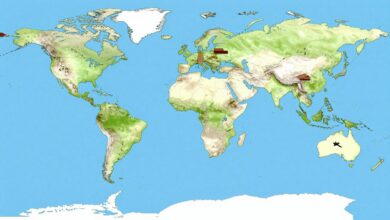 Um globo terrestre estilizado com navios de carga, aviões e setas indicando rotas comerciais globais, simbolizando a carreira em comércio exterior.